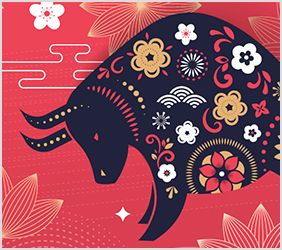 Happy Chinese New Year from the team at Pressure Tech